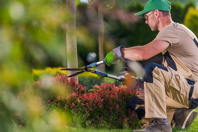 Affordable Gardener instant website quote-Ballarat