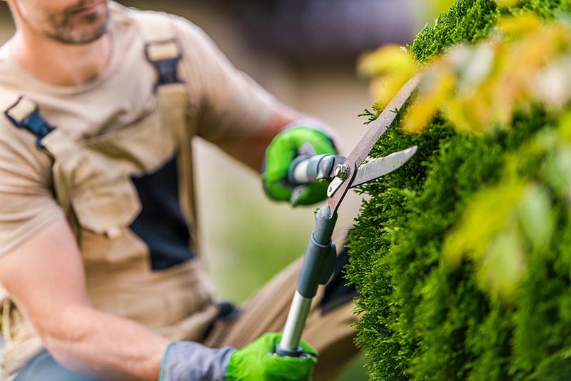 Affordable Gardener-website-Australia