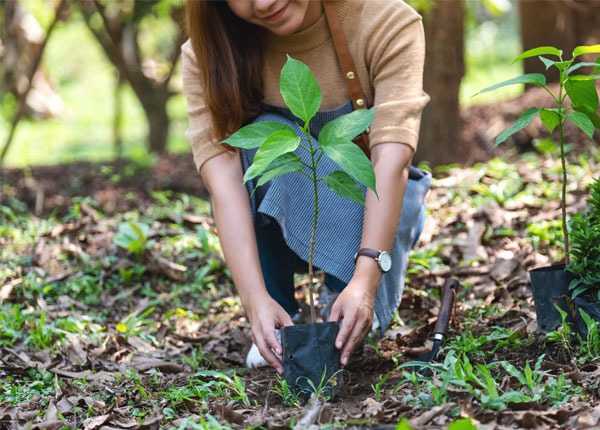 Cheap Gardener-&-Landscaping website design Melbourne
