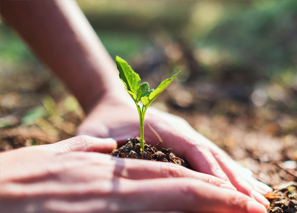 Gardener-&-Landscaping Website pre designed templates Melbourne