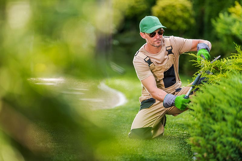 Gardener & Landscaping-instant-website-quote-Melbourne