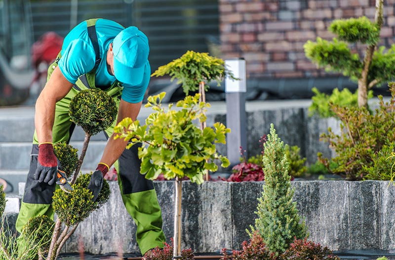 Gardener & Landscaping instant website quote New South Wales