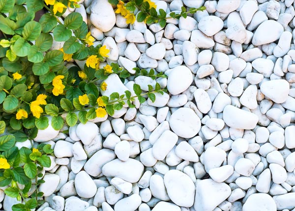 Gardener-&-Landscaping web-design-in Australia