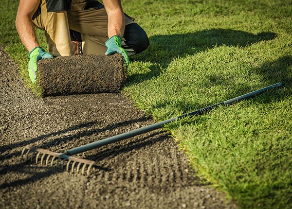 Gardener & Landscaping-website-in-Australia